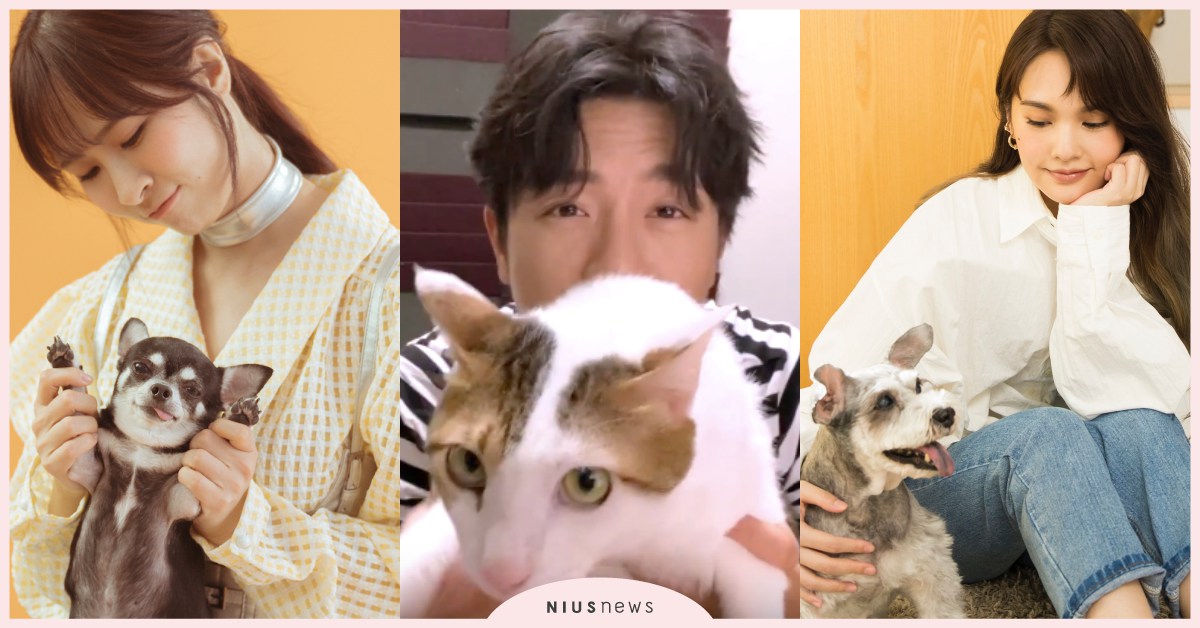 「時間從不為了誰停留，能不能牽著我緩慢走」楊丞琳、韋禮安、鄧福如為毛小孩獻唱歌曲 楊丞琳、韋禮安、鄧福如、泥土、許哲珮