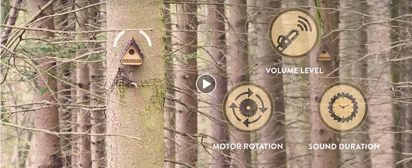 「尖叫樹」尖叫為樹發聲！用現代科技智慧網更有效的保護森林 德國、森林保育、尖叫樹、厲害