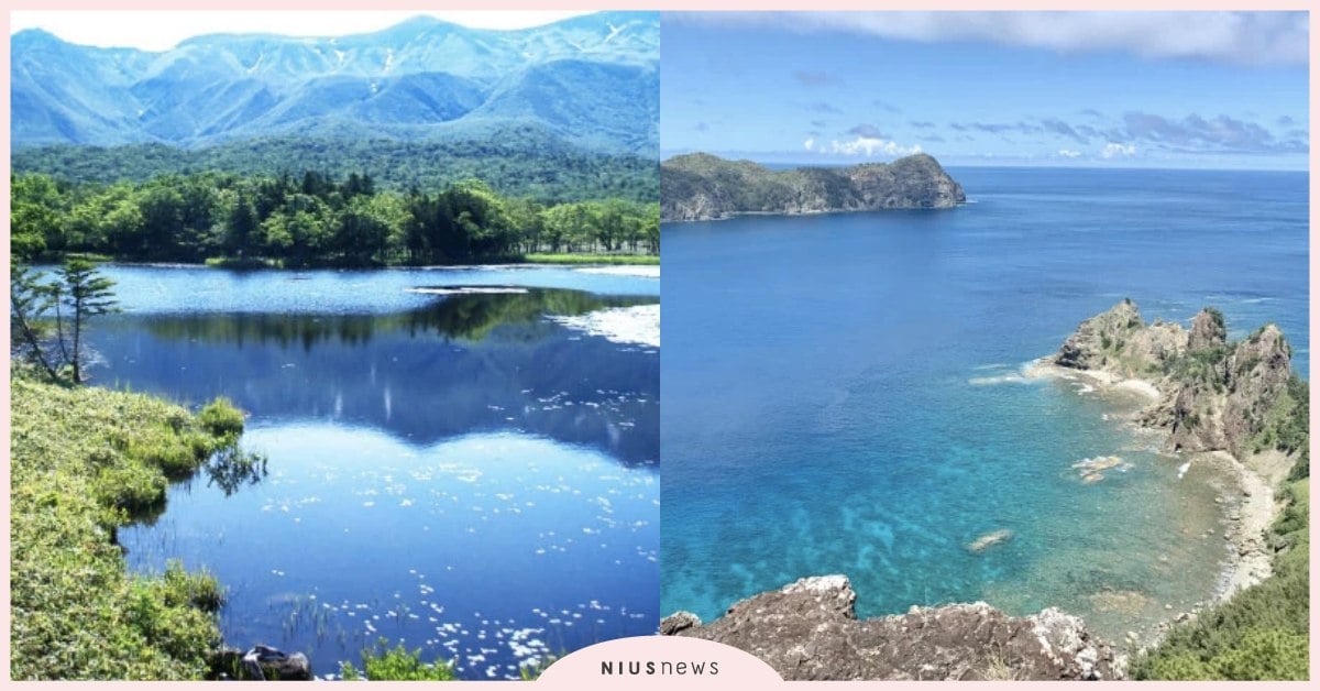 列為世界自然遺產的七座日本國家公園盤點，不能錯過的認證美景！ 