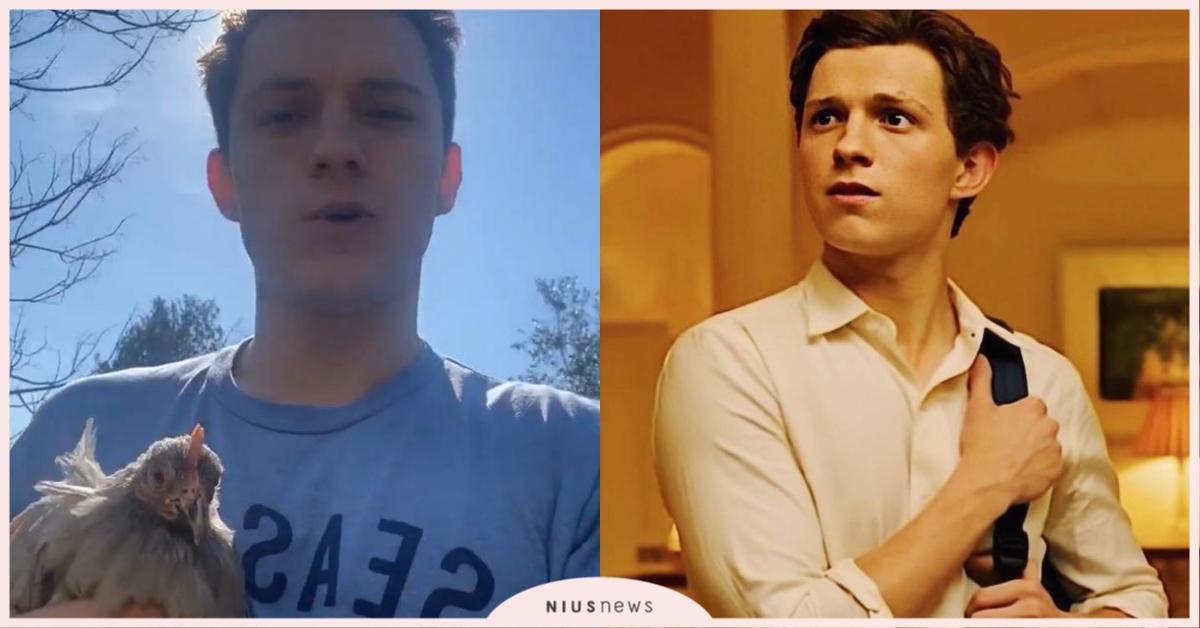 新冠肺炎囤貨太慢！「蜘蛛人」荷蘭弟買不到雞蛋決定「從源頭下手」，直接買雞回家養！ 電影、新冠肺炎、蜘蛛人、荷蘭弟、湯姆霍蘭德