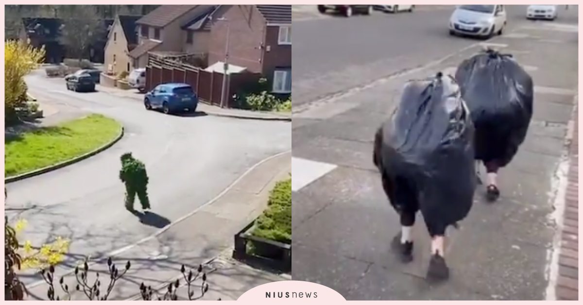 居家隔離悶到壞掉！英國民眾假扮灌木叢、男子變裝貴賓狗嚇歪路人，網友直呼：太逼真！ 新冠肺炎、武漢肺炎、居家隔離、英國、變裝出門、創意變裝