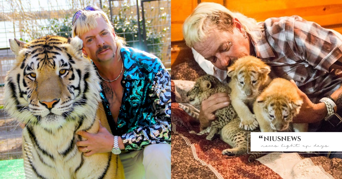 比八點檔還精彩的紀錄影集！《虎王》揭露美國大貓買賣文化，人心比兇猛動物還可怕 虎王、紀錄片、Netflix、紀錄影集、異國喬、卡蘿巴斯金、大貓救援、老虎、獅子、繁殖、動物園、溫塢動物園