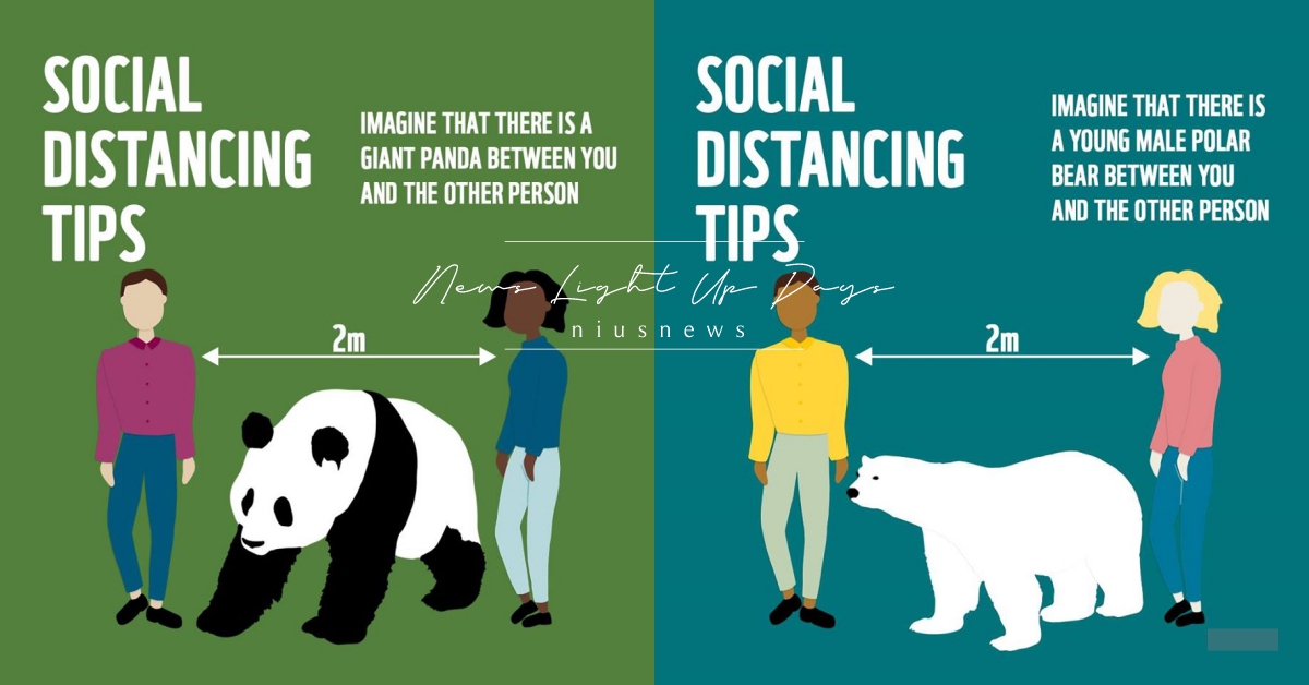 請保持「一隻大熊貓」的社交距離！ WWF「用動物當量尺」，可愛梗圖網瘋傳！ 社交距離、新冠肺炎、國王企鵝、北極熊、世界自然基金會