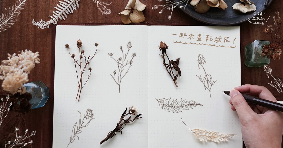 一枝筆就能完成！裝飾手帳必學的「手繪植物插畫」超清新！| 一起來手繪 手繪、手帳、插畫、喵星達、花草