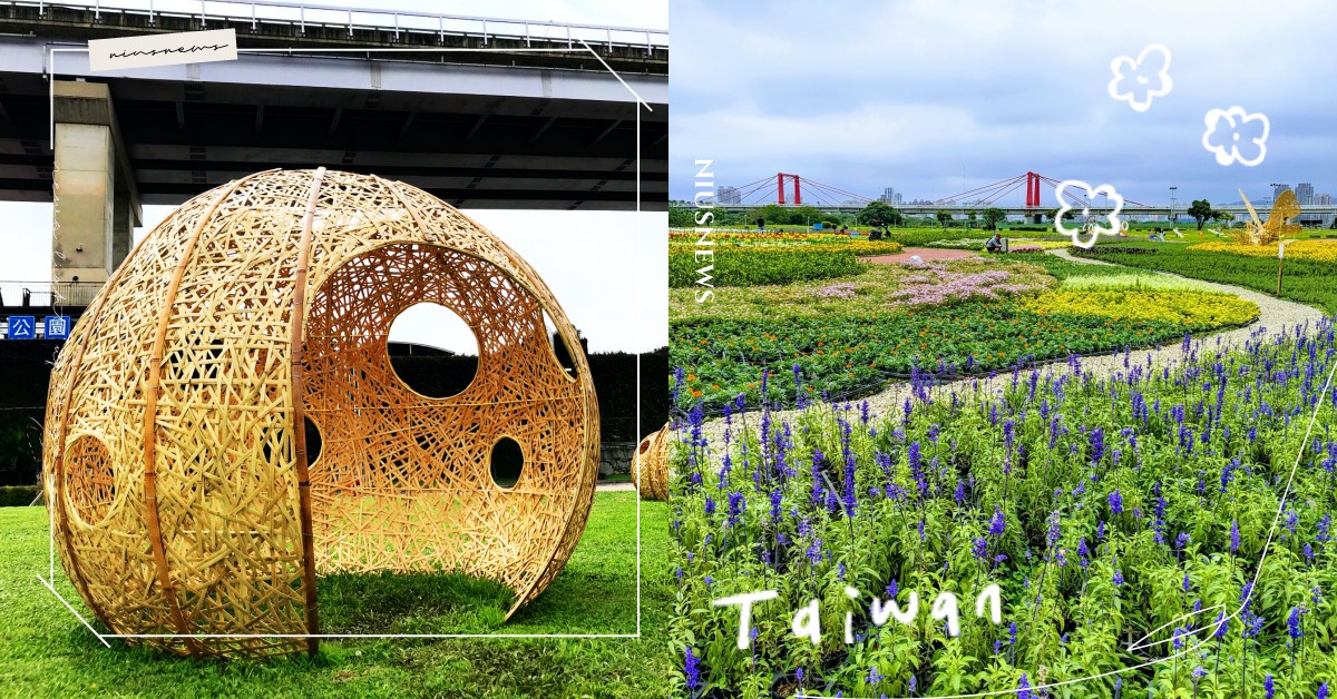 2020新北河濱蝶戀季，漸層系花海、竹編裝置藝術，妞妞們快來當小花仙！ 2020新北河濱蝶戀季、板橋、蝶舞情深、蝴蝶公園、河濱公園