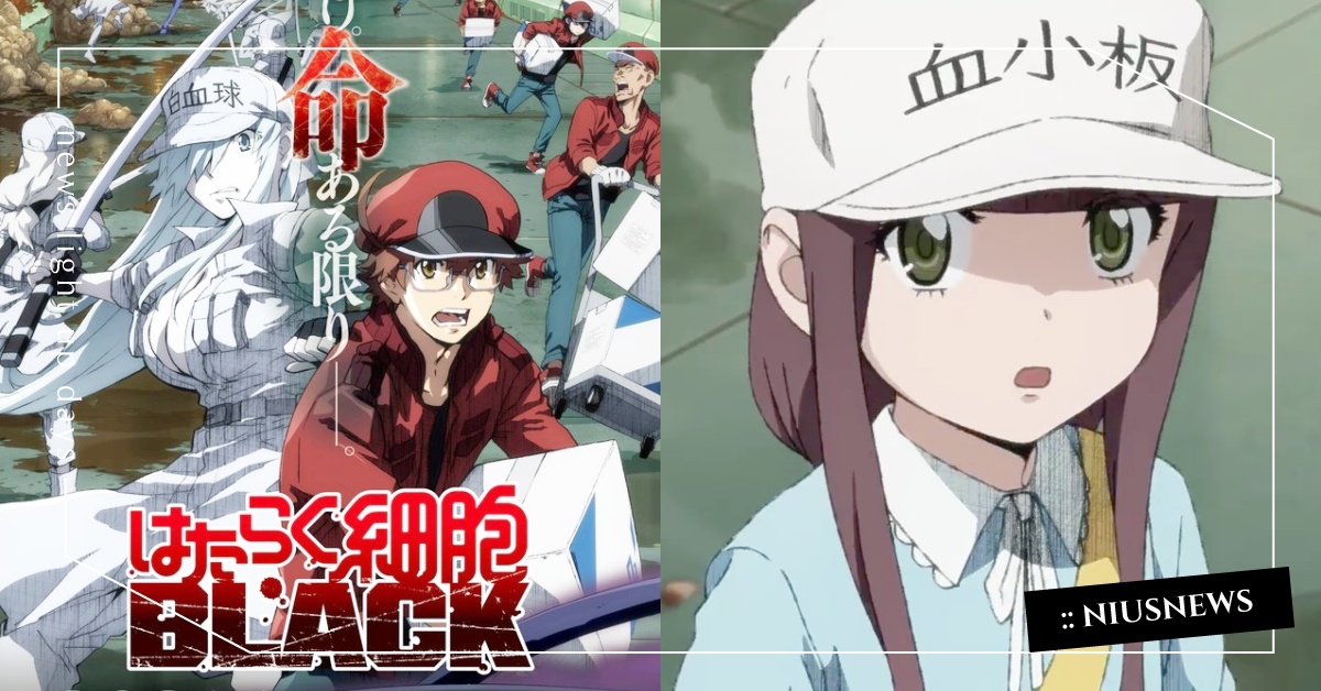 改住不健康身體！《工作細胞》姐妹作《細胞BLACK》動畫化，細胞的過勞職場地獄！ 工作細胞、細胞BLACK、動畫、漫畫、動漫、紅血球、白血球、血小板