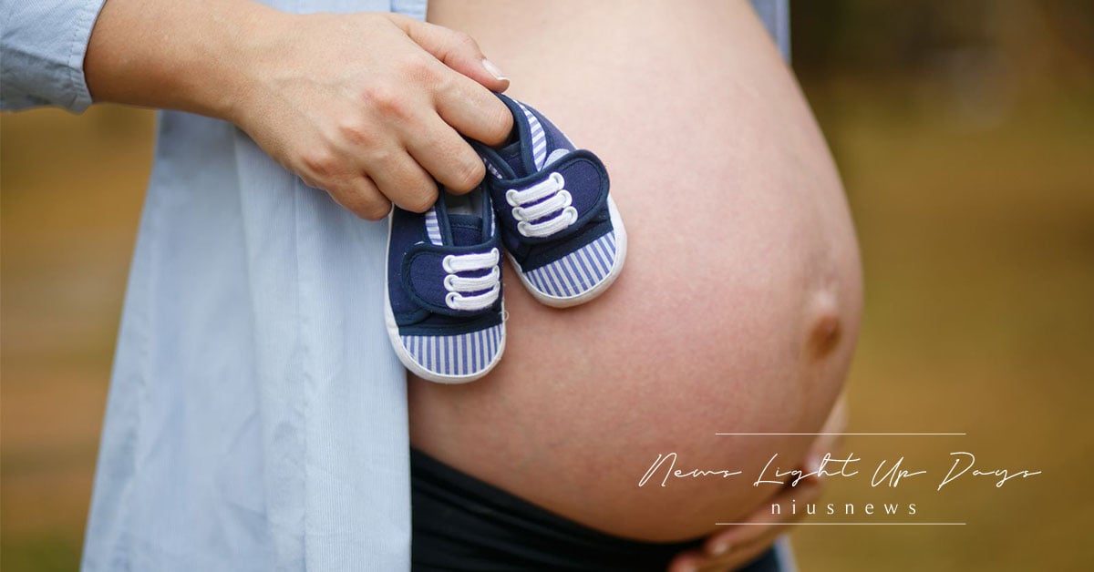 新手孕媽咪買這本就夠！孕初期到幼兒2歲都通用的全指南，第一次當媽就上手 親子妞、懷孕、生產、產後護理、月子