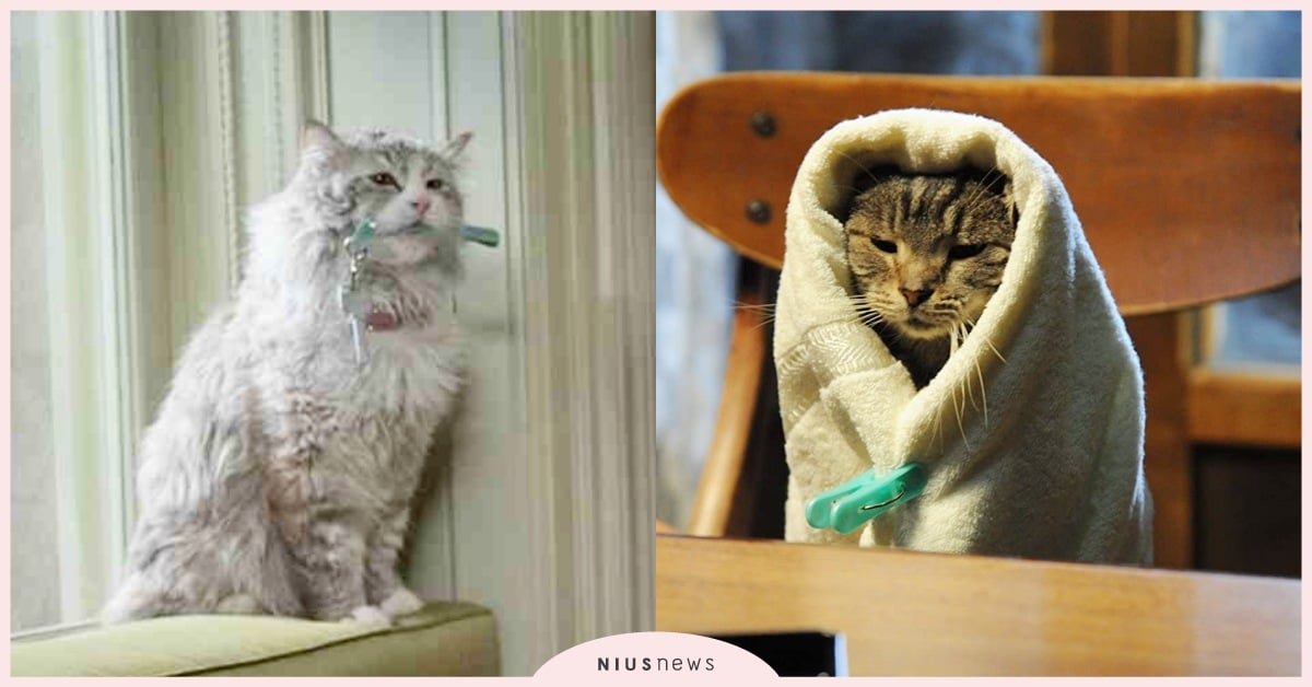 由光所構成的我們，理解身體的意義 、讀讀書