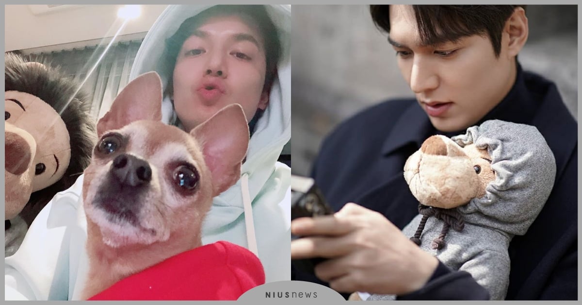 《The King：永遠的君主》Minomi驚喜現身！原來是李敏鎬的專屬應援獅子 The King：永遠的君主、the king永遠的君主 netflix、李敏鎬Minomi、金高銀、李袞