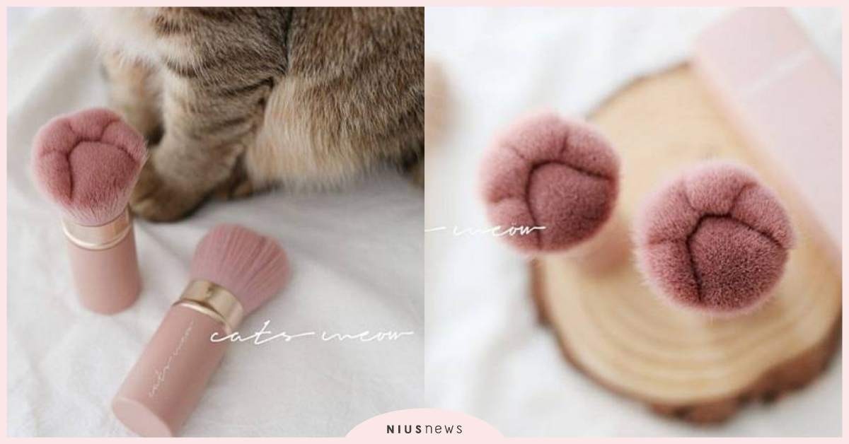 被主子輕撫臉太療癒！「貓咪肉球刷具」讓貓奴暴動了，粉紅配色有夠夢幻 貓咪肉球刷、貓奴