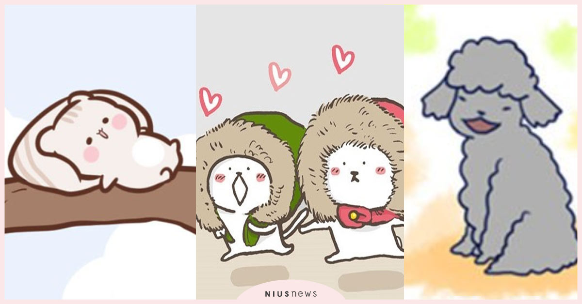 動物控看這裡！LINE WEBTOON 5部感人、勵志、療癒的動物系漫畫 LINE WEBTOON、我的小貓和老狗、小圓與小尾、我愛潔西卡、聾聾狗的微笑日記、Sweet house、療癒、感人、勵志