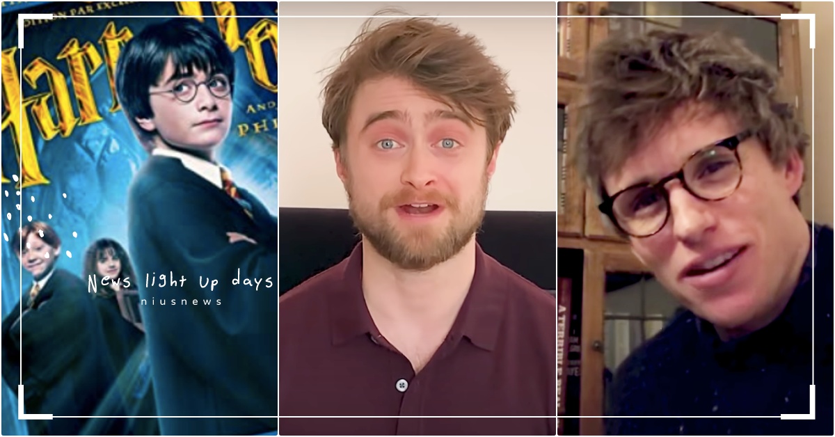 魔法世界開放麻瓜防疫避難！《哈利波特》本尊居家耳邊說故事，「紐特＆娜吉尼」也現身 哈利波特有聲書、哈利波特、哈利波特防疫、哈利波特魔法世界網站、哈利波特讀書、丹尼爾雷德克里夫、紐特