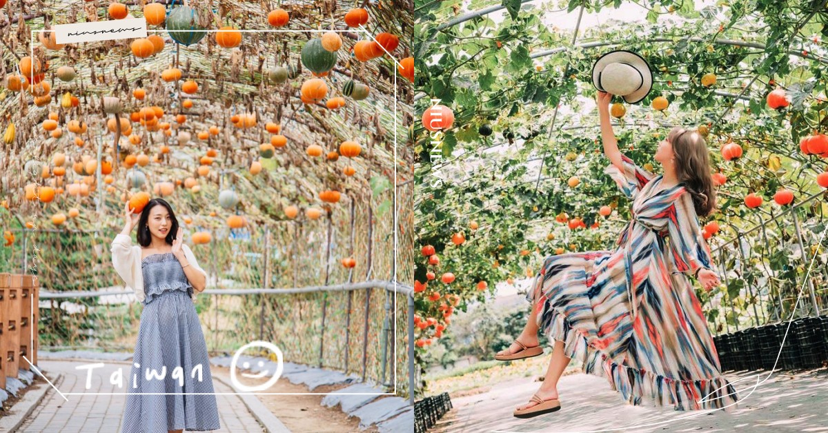 童話般療癒的「南瓜隧道」就在淡水！全台3大南瓜園，快來挑一顆當妞妞的馬車吧 南瓜隧道、淡水南瓜隧道、中社花海南瓜節、中社花市南瓜節、苗栗造橋
