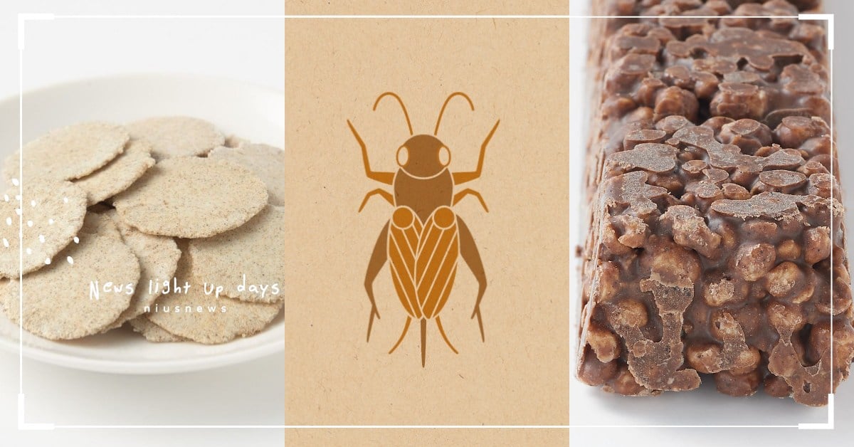 日本無印良品繼蟋蟀仙貝後再推「蟋蟀巧克力棒」！仙貝味道像蝦餅、巧克力棒有柑橘香？ 蟋蟀巧克力、蟋蟀仙貝、無印良品、日本、蟋蟀