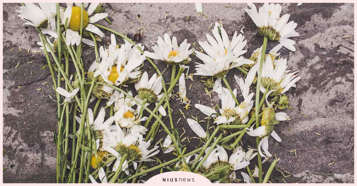 或許只有面臨死亡，我們才能真正明白人生意義 死亡、人生、低潮、價值、生命、讀讀書