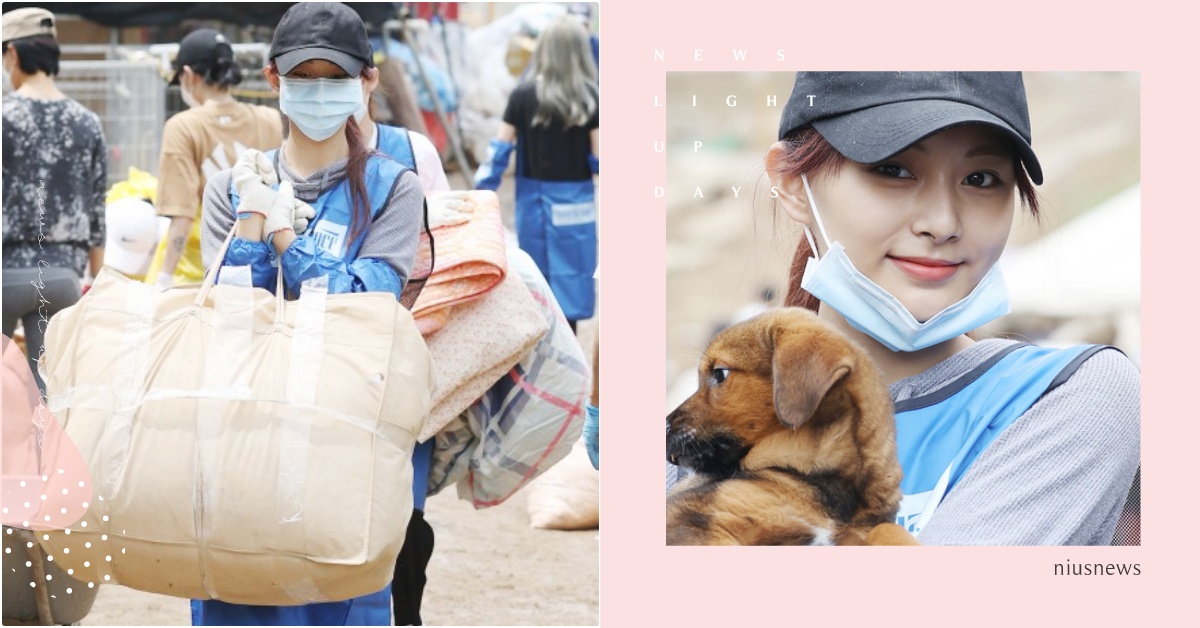 超美義工好眼熟！流浪動物保護所捕捉「野生子瑜」，素顏照顧浪浪讓網友戀愛：是天使 TWICE、子瑜、子瑜公益、子瑜流浪狗、流浪狗保護