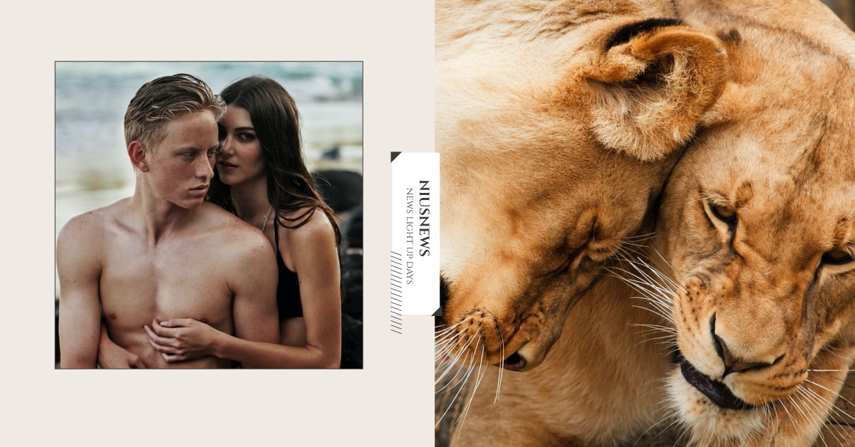 6個動物的「男女冷知識」！昆蟲會送禮物給女友、鳥類也有「外國月亮比較圓」迷思！ 可悲的雄性生物、藤田紘一郎、書摘、男女、女性、男性、兩性、冷知識、讀讀書