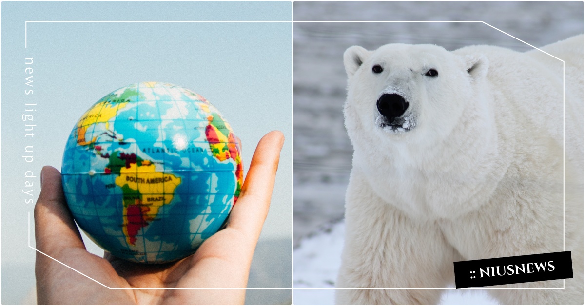 節能減碳消暑大作戰！5方法讓屋內不用開冷氣就能透心涼 消暑、西瓜、綠色植物、電風扇、冷氣、地球暖化