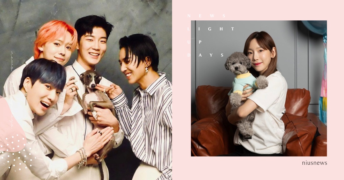 韓星寵溺「毛小孩」的療癒日常公開！盤點8個韓國愛豆為寵物開設的IG帳號 寵物趣聞、韓星、貓、狗、寵物、毛小孩、療癒、燦烈、泰妍、利特、Key、Amber、雪炫、昇勳、榮宰