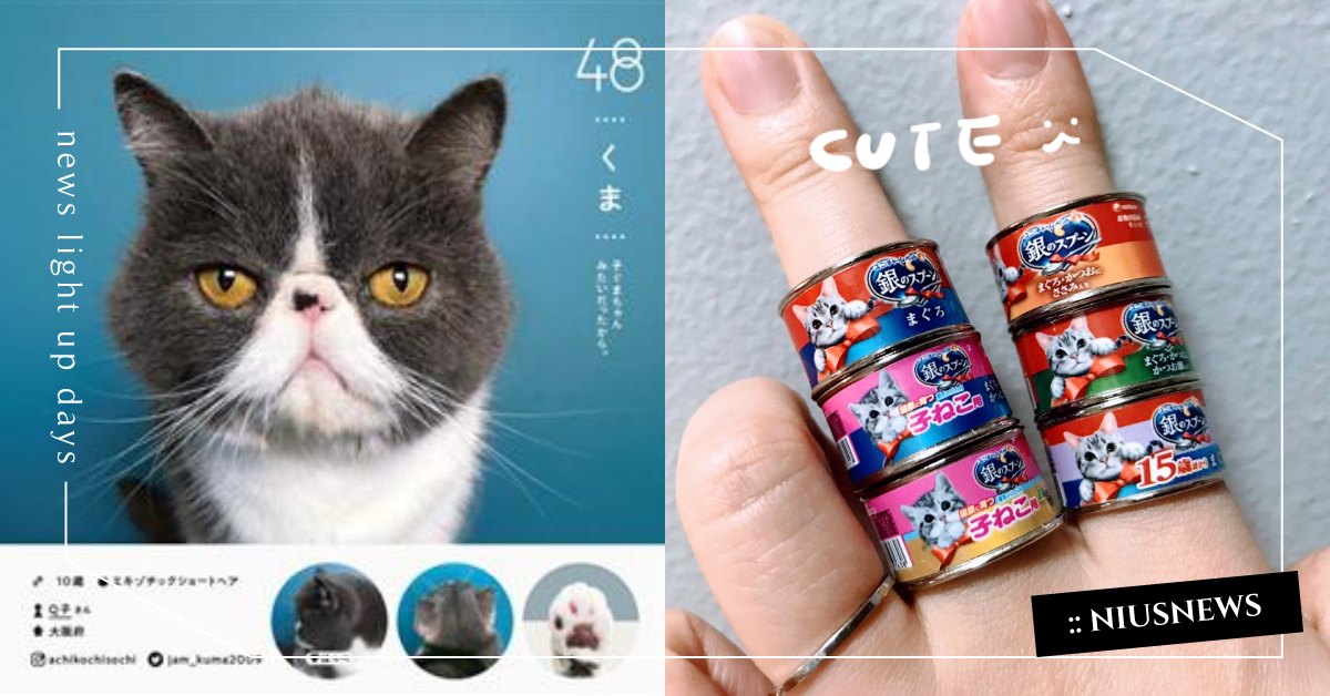 貓奴必敗！日本扭蛋人氣新作「貓罐」戴指上，《貓咪圖鑑》100隻網紅貓療癒寫真百科 日本、貓咪、貓奴、喵星人、扭蛋