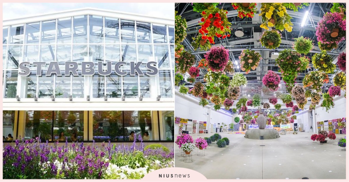 日本首座「玻璃屋花室星巴克」！還可以餵食小水獺、欣賞絕美夜間燈光秀 星巴克、花市、盆栽、日本、讀賣樂園