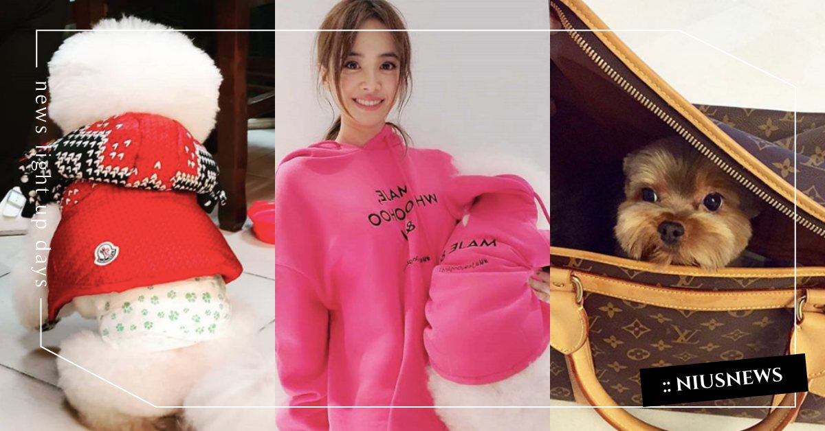 下輩子好想當屋虎喔！蔡依林、蕭亞軒、孫芸芸羽絨衣、訂製名牌提袋寵毛孩不手軟！ 蔡依林、蕭亞軒、孫芸芸、毛小孩、狗狗、moncler、LV、goyard、屋虎、Gemini