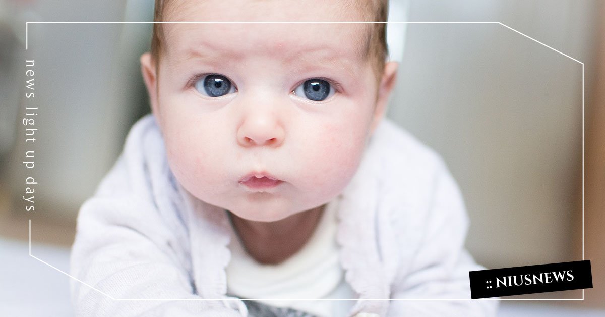 公園放風小心蟲蟲危機！寶寶被隱翅蟲、小黑蚊叮咬怎麼辦？ 親子妞、嬰兒、皮膚、健康、放風
