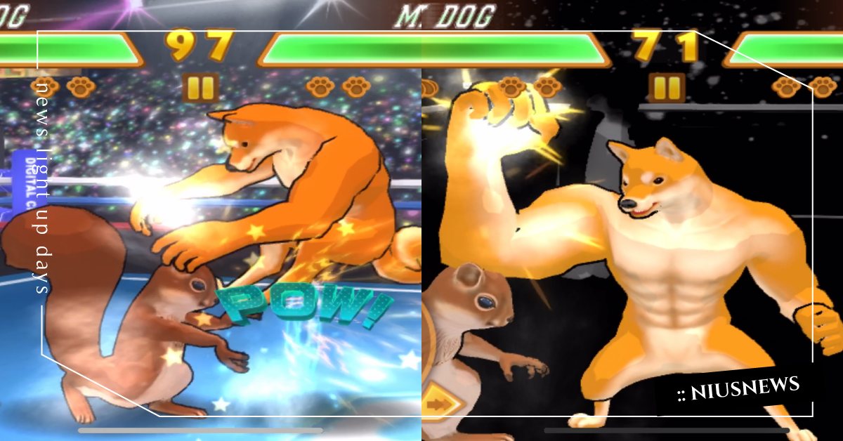 化身「右鉤拳柴犬」上擂台打格鬥賽！肌肉動物梗圖手遊《動物之鬪》熱血登場 動物之鬪、手遊、右鉤拳柴犬、絕對王者狐、霸氣貓、烏鴉猩、魔法松鼠、肌肉動物梗圖