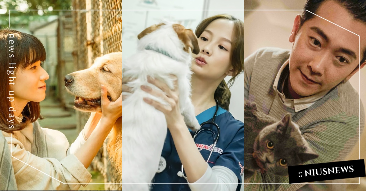 台灣第一部「寵物溝通」戲劇！《黑喵知情》簡嫚書×施名帥×連俞涵與療癒貓狗共同飆戲 台劇、黑喵知情、黑喵知情、簡嫚書、施名帥、連俞涵、寵物、寵物溝通、戲劇