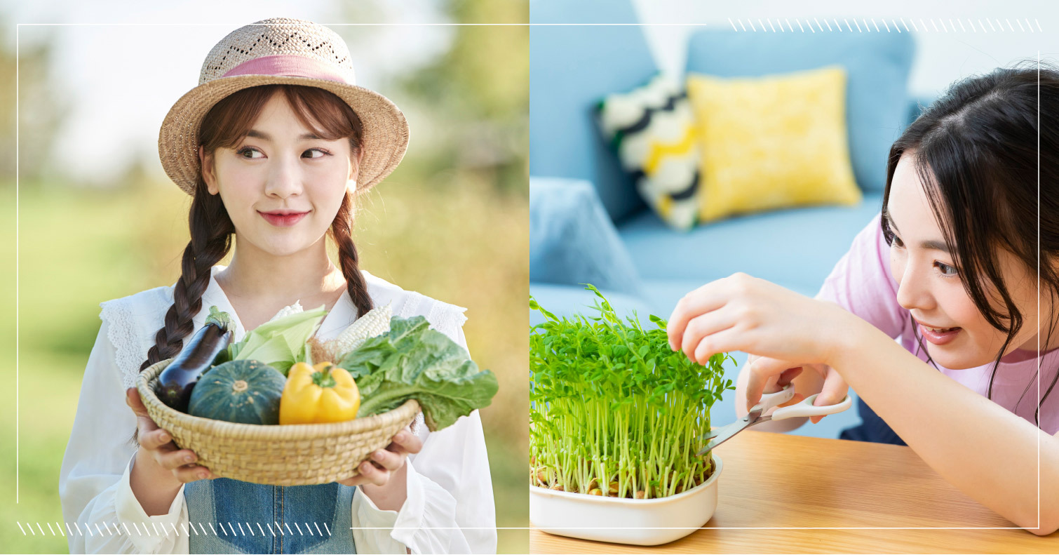 打造廚房菜園 介紹日本常見的栽培方式和適合種植的推薦蔬菜 農業 蔬菜 愛醬推日本 妞新聞niusnews