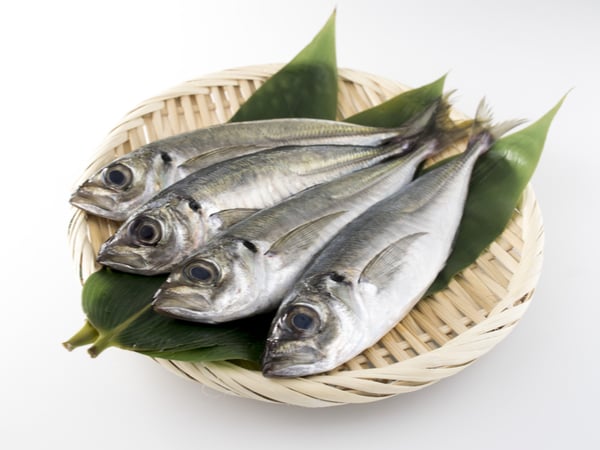 【47都道府縣的地方食材】原產花椰菜及岩國蓮藕等山口縣的健康特產品介紹！ 山口、食材、美食、特產