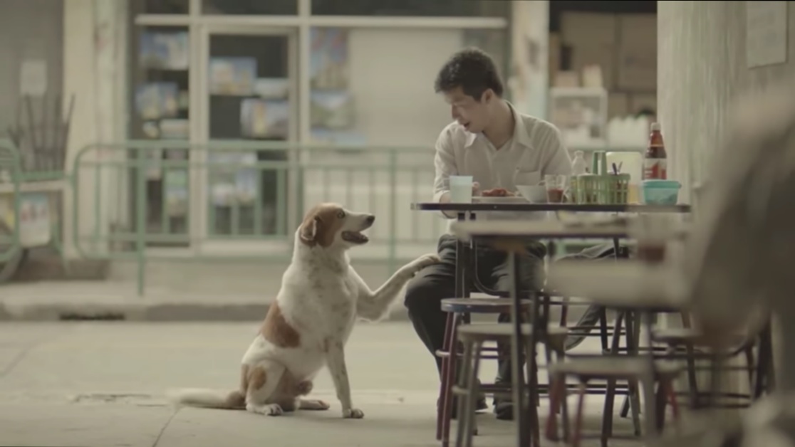 泰國溫馨廣告，餵狗狗吃雞腿，幫女孩籌學費，只因為他相信良善 泰國、Thai Life、保險、溫馨