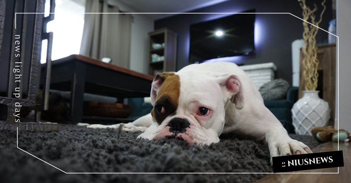 拖延症、社交恐懼症、選擇困難症，現代人的文明病英文怎麼說？ 精神病、拖延症、強迫症、英文、韓劇