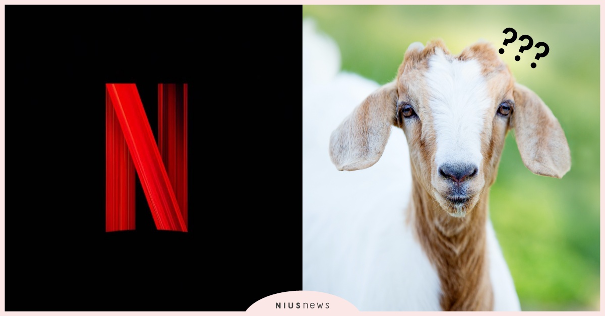 Netflix原本的片頭音效有可能是「山羊叫」？！揭秘「噠噔」聲怎麼來 Netflix、片頭音效、