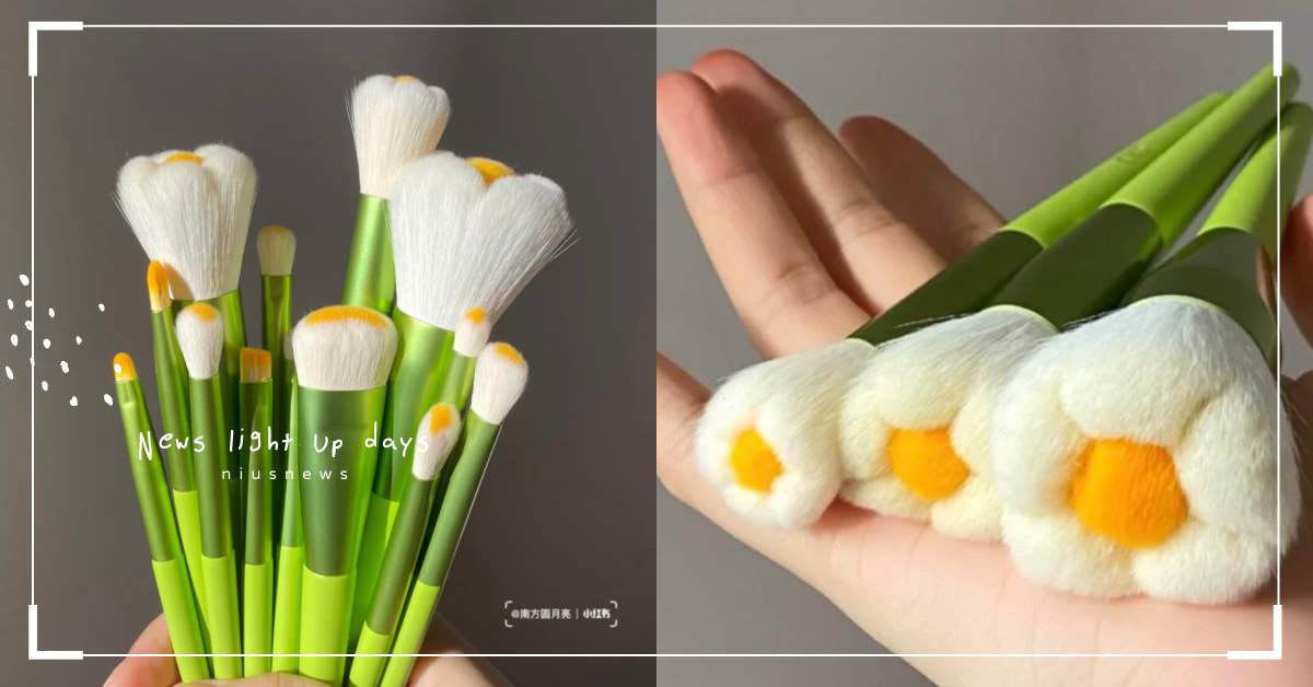 想要下單一整束！網路爆紅「小雛菊刷具」顏值太高，蓬鬆小花刷毛上妝好療癒 小雛菊刷具、小紅書