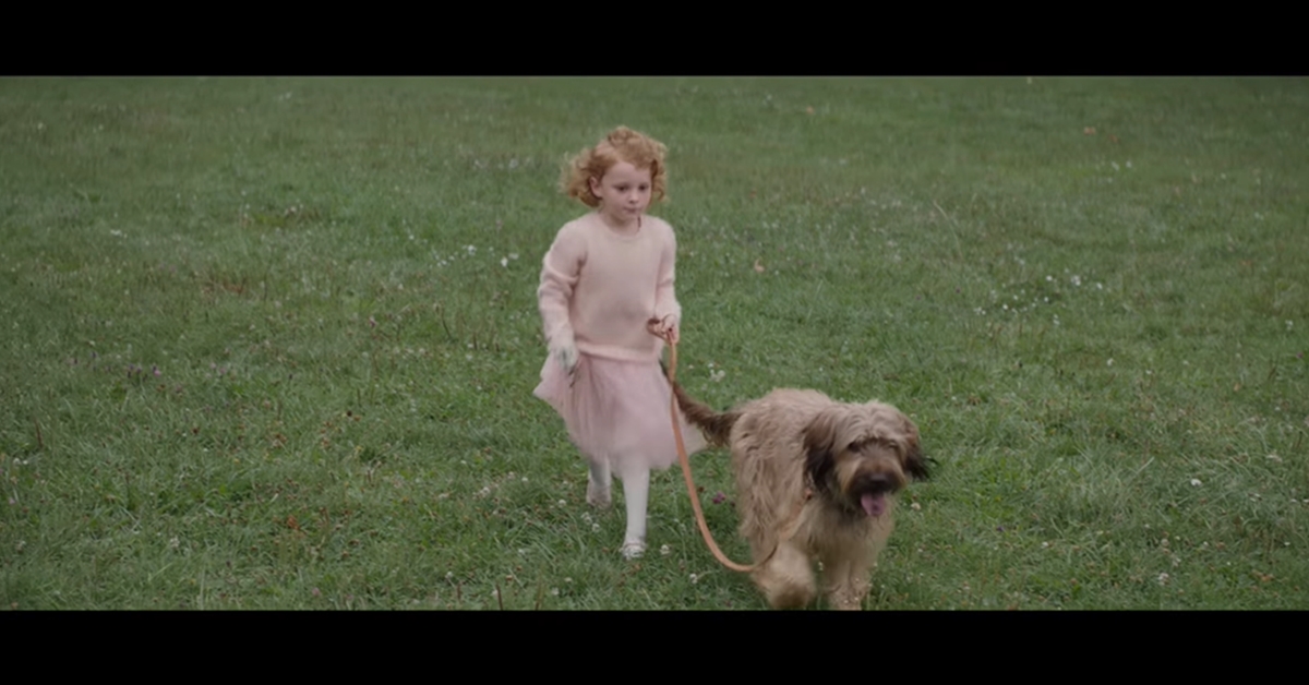 決定撿走狗狗的瞬間，就要做好愛它一輩子的準備！ 波蘭、allegro、電商平台、感人