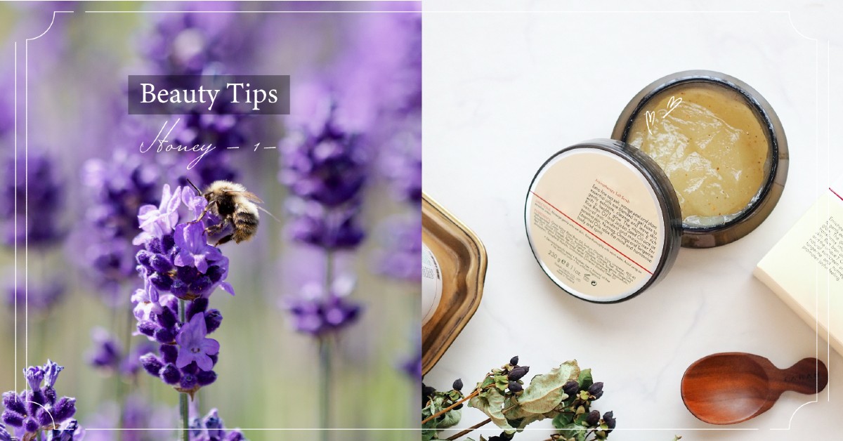 【模特兒也關注中】徹底介紹蜂蜜敷料的效果、使用方法及推薦市售產品！（上） 蜂蜜、面膜、護唇膏、洗髮精、潤髮乳