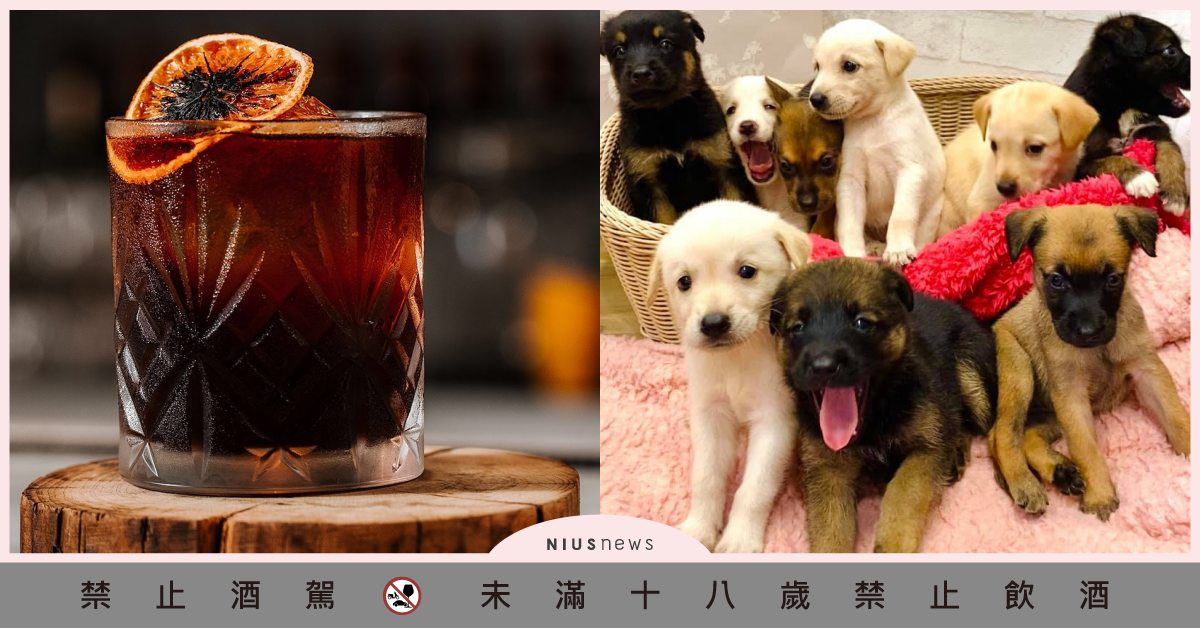 浪浪都能吃飽！酷狗威士忌攜手「BARCODE」推調酒做公益，一起用愛享受微醺！ 慈善活動、妞新聞酒吧地圖、酷狗威士忌、BARCODE、信義區酒吧、酒吧推薦、公益調酒、拯救浪浪、微醺