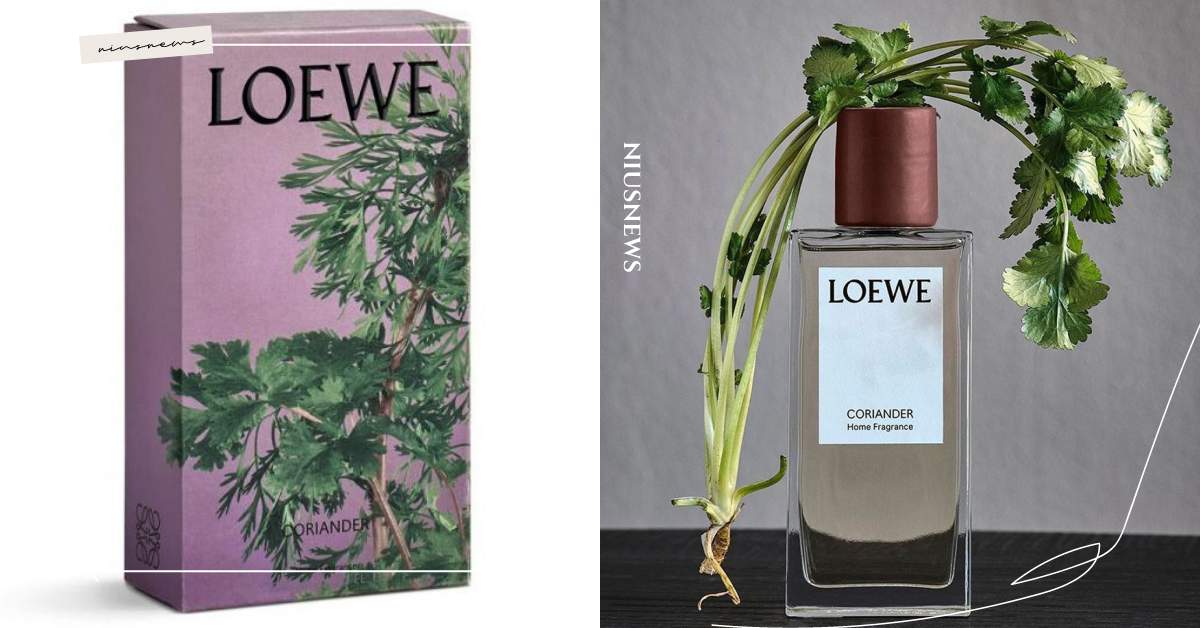 這味道你敢挑戰嗎？LOEWE推出「香菜香水」引熱議，還有大麻蠟燭超有梗 香菜香水、LOEWE、香菜、香水、LOEWE Home Scents