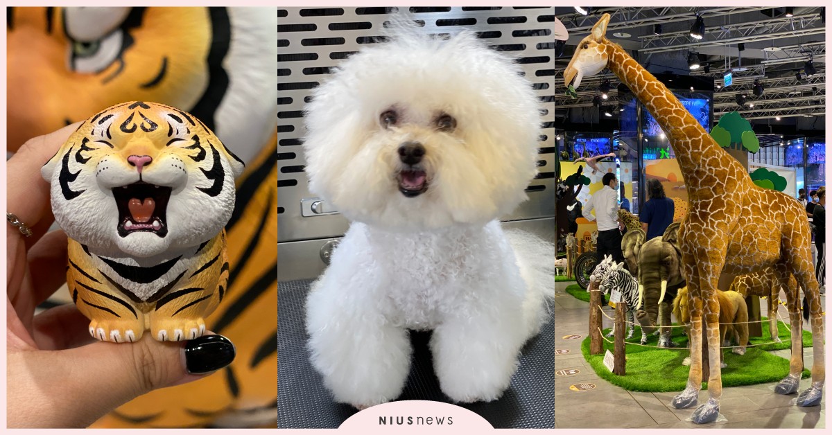 「寵物選品快閃展」三創強勢登場！擬真動物展必打卡，現場還有11分鐘自助毛孩SPA 寵物選品快閃展、HANSA PARK、你的城市動物園擬真動物展、不二馬大叔、胖虎、黃阿瑪、三創生活園區、寵生活、寵物、毛孩