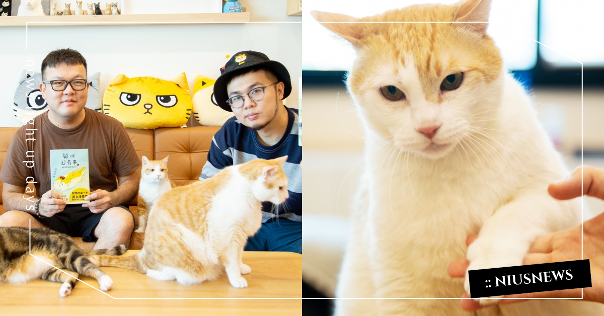 貓咪真的超有事！黃阿瑪的後宮生活全新漫畫書：「拜託不要再亂尿尿！」｜妞專訪 黃阿瑪的後宮生活、貓咪超有事、專訪、書摘、貓咪哪有這麼可愛、黃阿瑪、招弟、三腳、嚕嚕、柚子、SOCLES、浣腸、小花、堵堵、讀讀書