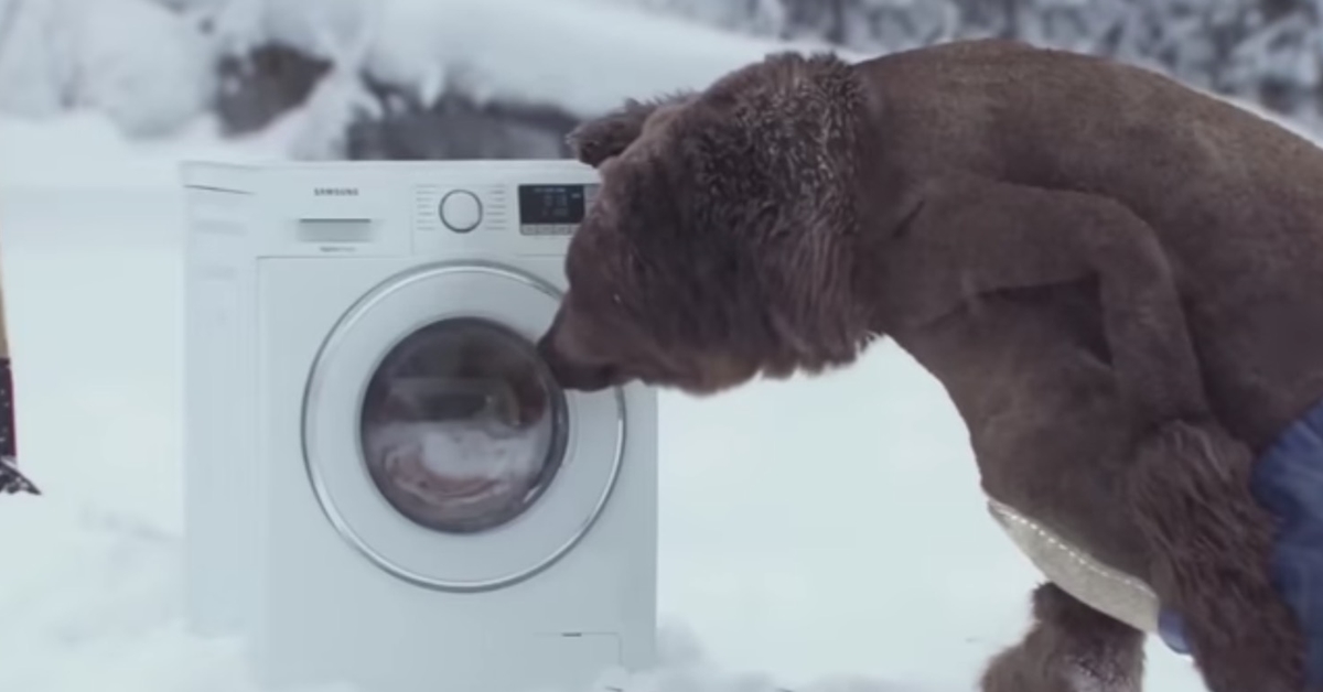 棕熊原來是隻北極熊？加拿大廣告顛覆你的想像 加拿大、洗衣機、衣服、好笑