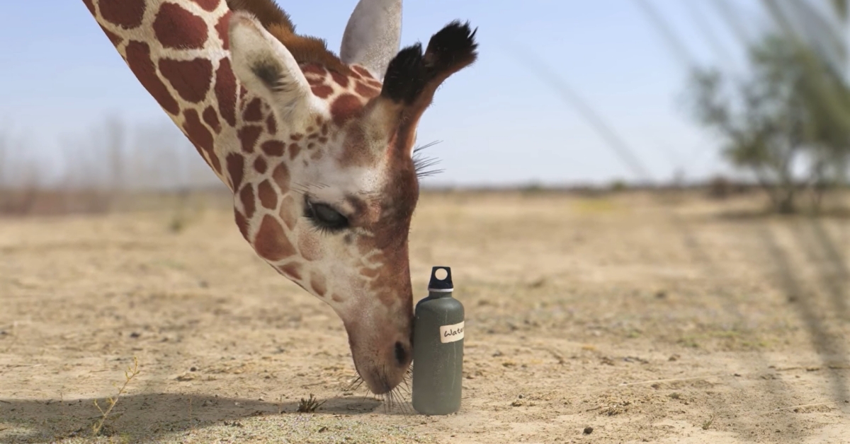 水到用時方恨少！水資源需要大家共同守護 非洲、WWF、水資源、珍惜