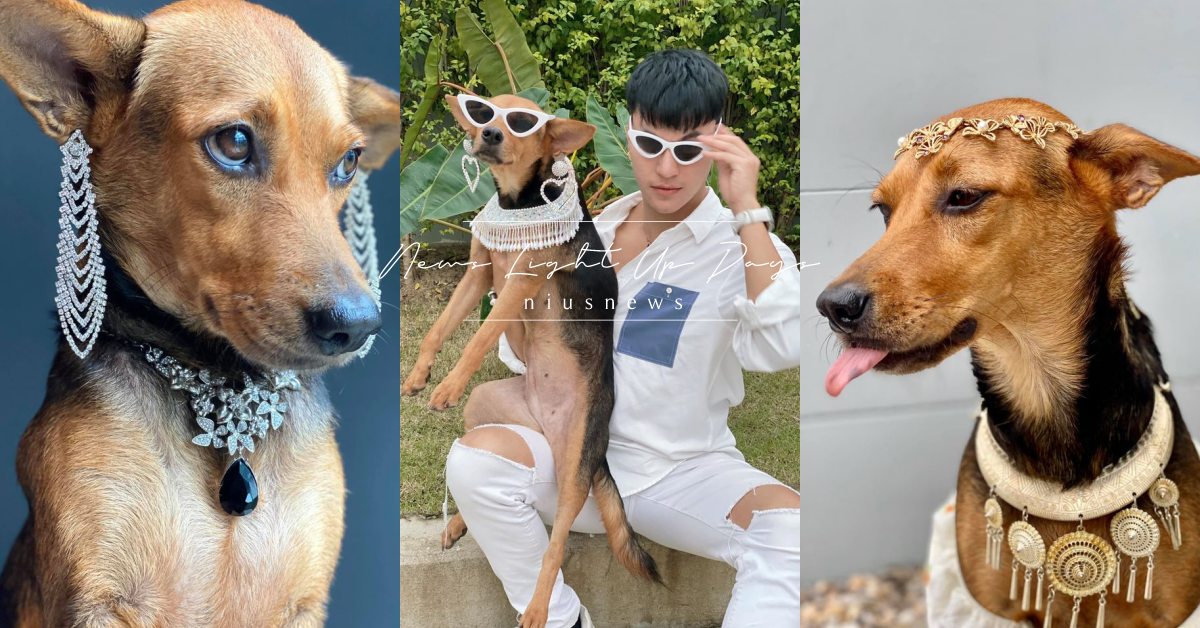 泰男喝醉強行把狗狗擄回家！事後不僅收養還將其打扮，結局完全神展開！ 寵物趣聞、毛孩、喝醉、寵物、狗狗、網紅狗狗、泰國、泰國網紅、強行擄狗、寵物、生活趣事、每日一療癒