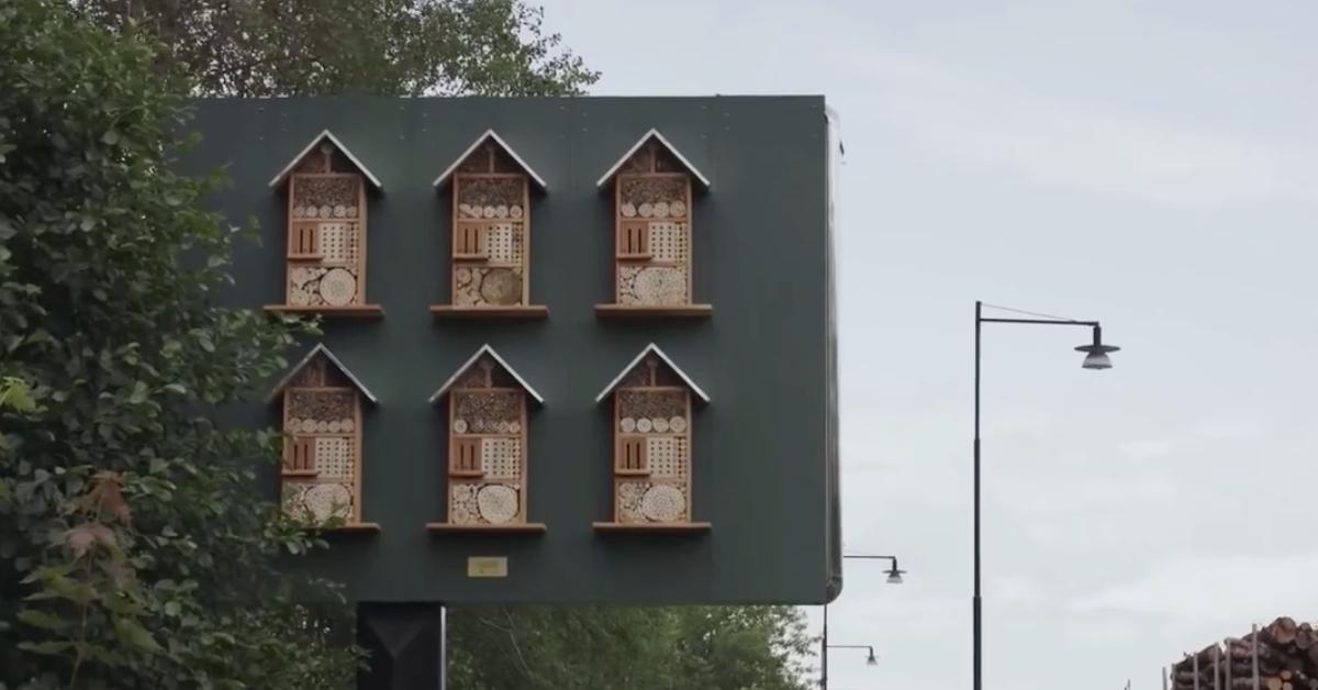 如果世界上的蜜蜂都消失，人類也完蛋了 美國、麥當勞、素食、新奇