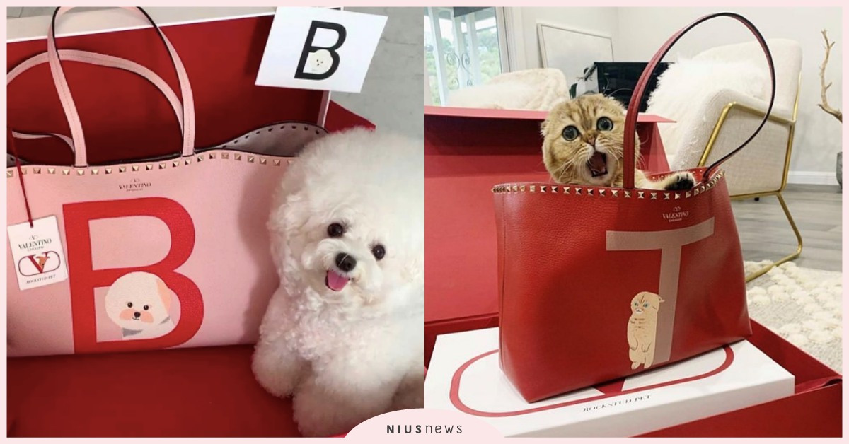 萌度破表！Valentino推寵物訂製托特包，手繪毛小孩可愛躍上包款！ 寵物選品、Valenitno、寵物、托特包、Tote、時尚、流行、訂製