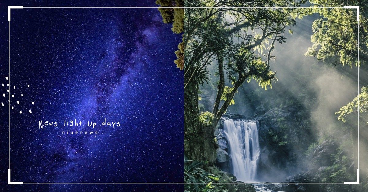 全台12處「國家級美照聖地」！黃金山毛櫸林、全台最美瀑布、百萬星空全都必拍 林務局、健行、森林健行、花季饗宴、夜觀漫遊