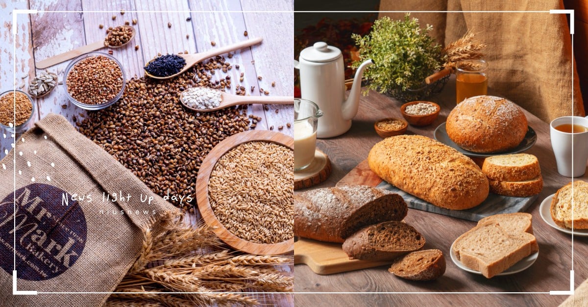 「馬可先生」以營養師開發產品，不只帶來道地純歐麵包減油減糖更獲得健身族喜愛！ 馬可先生、歐式麵包、雜糧麵包、德國麵包、Mr. Mark、經濟部、TCFA台灣連鎖暨加盟協會、資策會、Chill Go輕鬆購集點趣