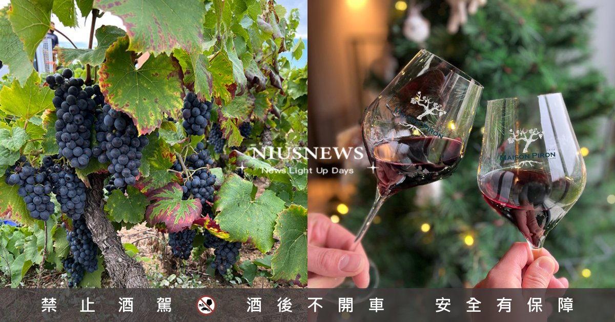 葡萄酒界聖誕節！2023「薄酒萊新酒」果香豐沛、圓潤，讓世界共同在11月舉杯歡慶 Beaujolais  Nouveau、薄酒萊新酒、葡萄酒界的聖誕節、紅酒、白酒、粉紅酒、葡萄酒品種、產地、挑選葡萄酒、女生葡萄酒、女孩葡萄酒、挑葡萄酒、聖誕節、萬聖節、11月、12月、11月第三個星期四