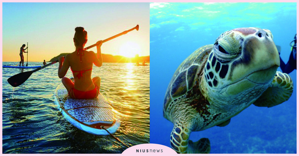 2019水上活動三大亮點 離島秘境潛水正夯 旅遊、潛水、煙火